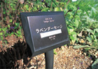 点字案内板