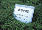 案内板