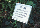 音の庭にある水琴窟