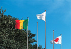 バックスタンドに掲げられた両国国旗