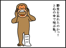 #2サムネイル画像07